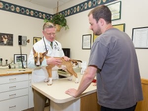 Herndon Veterinarian | Pet Vet Herndon | Dog Day Care Herndon Virginia | Dog  Boarding Herndon Virginia | Old Dominion Animal Health Center