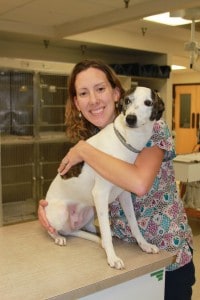 Herndon Veterinarian | Pet Vet Herndon | Dog Day Care Herndon Virginia | Dog  Boarding Herndon Virginia | Old Dominion Animal Health Center